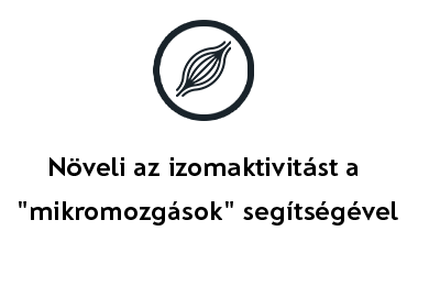 F&eacute;rfi modellek