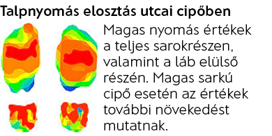 Talpnyomas2.png